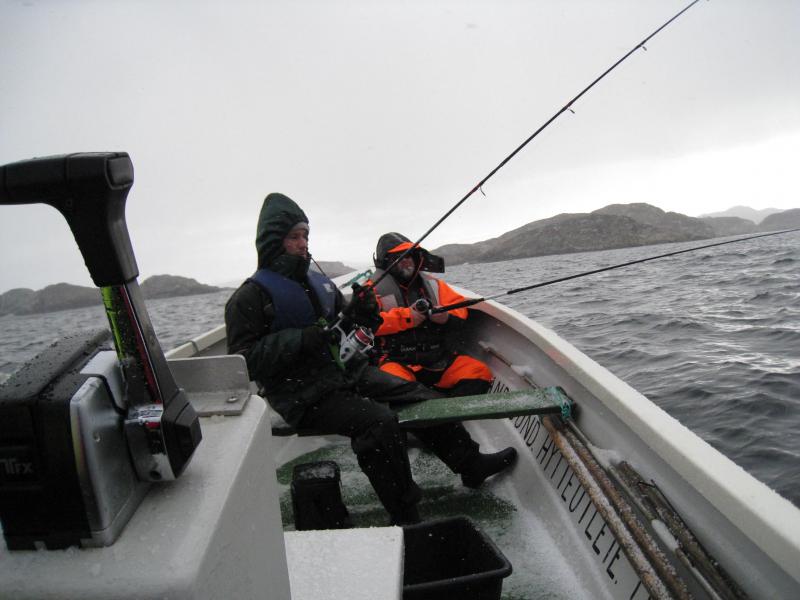 IMG 4829