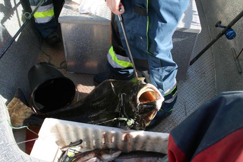 IMG 6187 (1024 x 768)