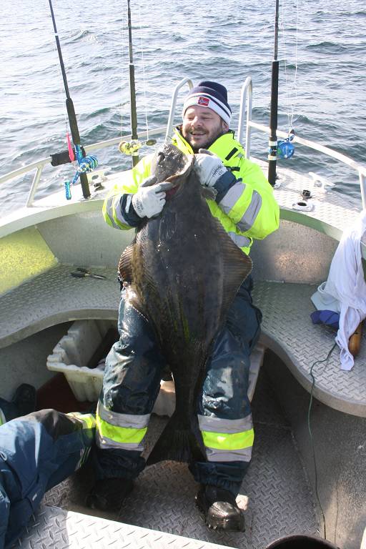 IMG 6199 (1024 x 768)