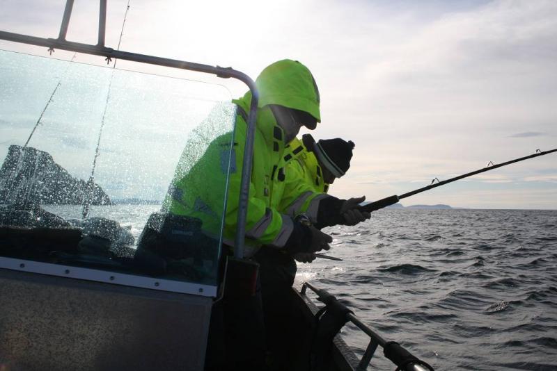 IMG 6205 (1024 x 768)