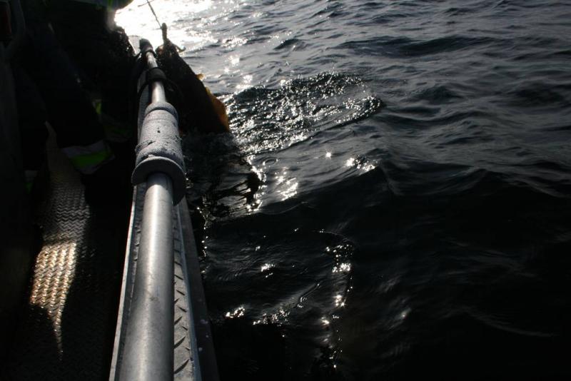 IMG 6206 (1024 x 768)