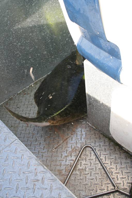 IMG 6210 (1024 x 768)