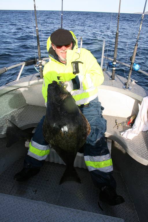 IMG 6212 (1024 x 768)