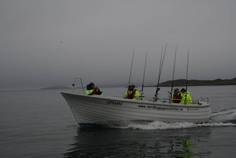 IMG 6230 (1024 x 768)