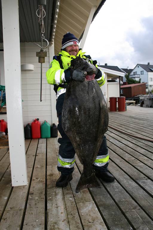 IMG 6328 (1024 x 768)