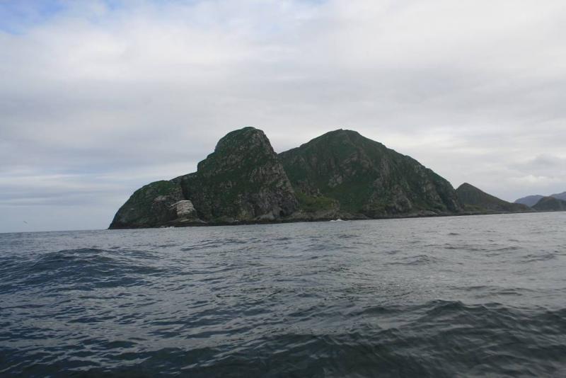 IMG 6364 (1024 x 768)