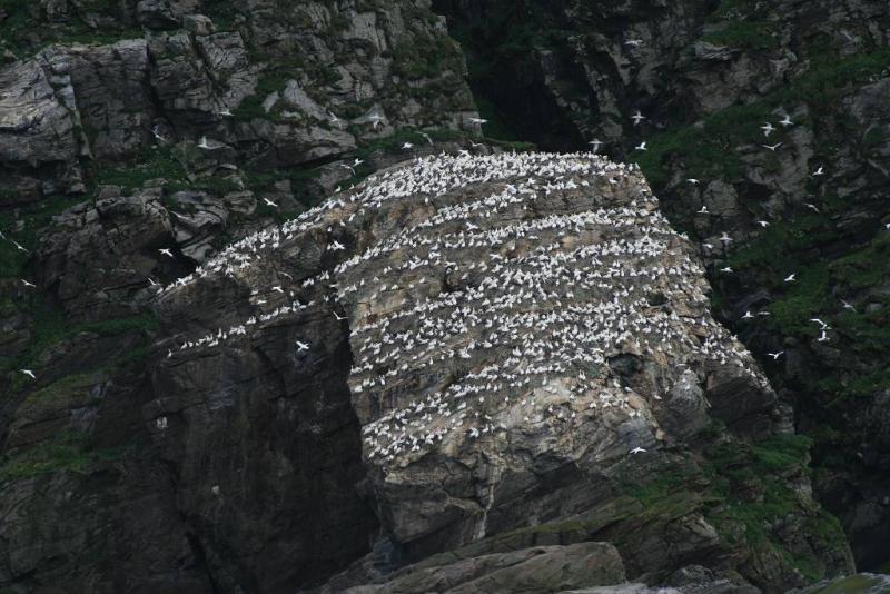 IMG 6367 (1024 x 768)