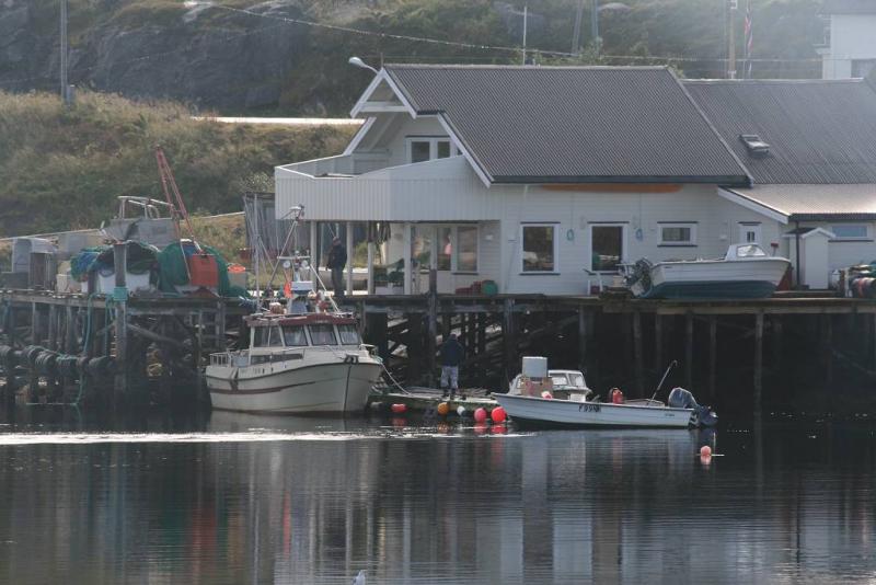 IMG 6419 (1024 x 768)