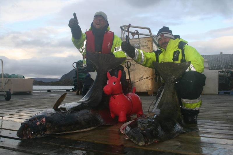 IMG 6440 (1024 x 768)