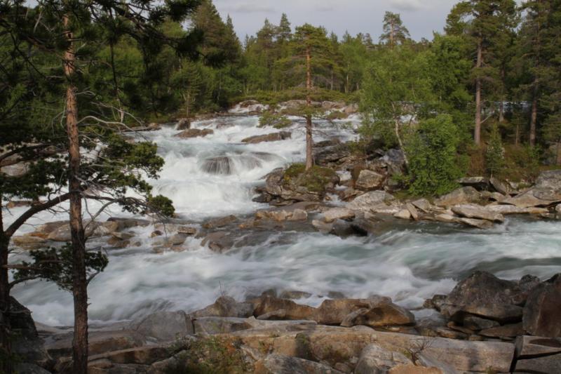 Immer gerne genommen
-Nördliche Anfahrt zum Saltfjell-