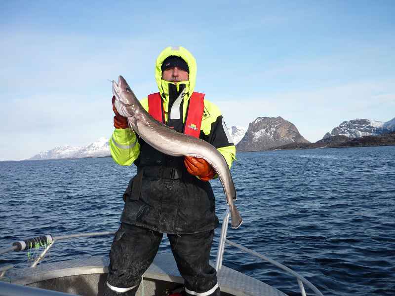k steigen 28 03 020