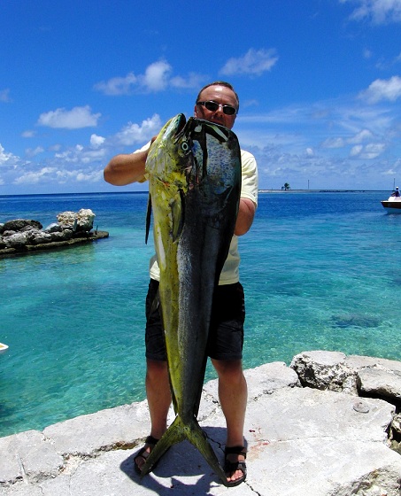 kapitaler Dolphinfish Bulle