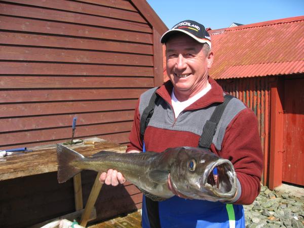 King of the Fish