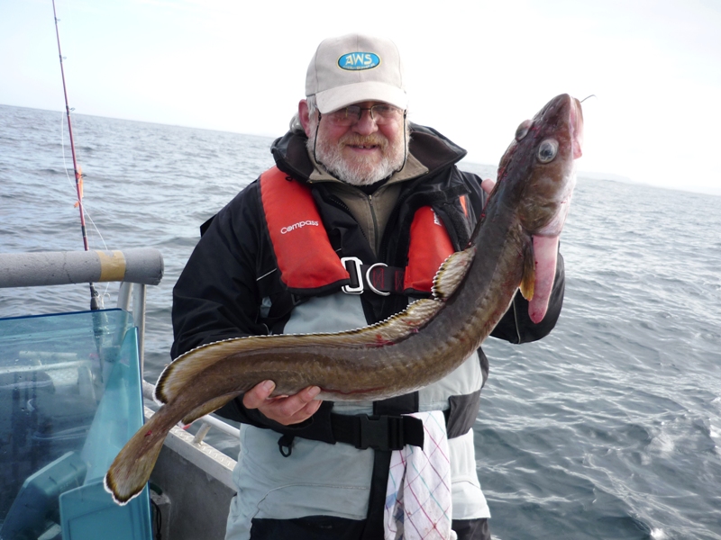 knarrlagsund chris 017 - nach 3 tagen schlechtwetter geht es los!! - heute ist tiefsee-fischen angesagt - zum start gleich ein schöner meterleng von 5