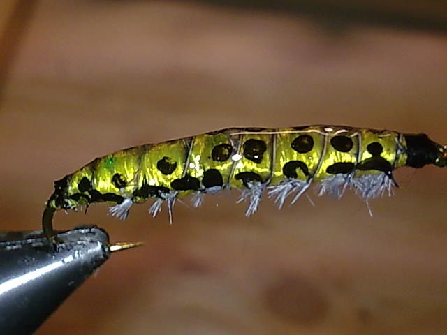 Kohlraupe