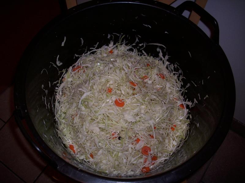 kraut1