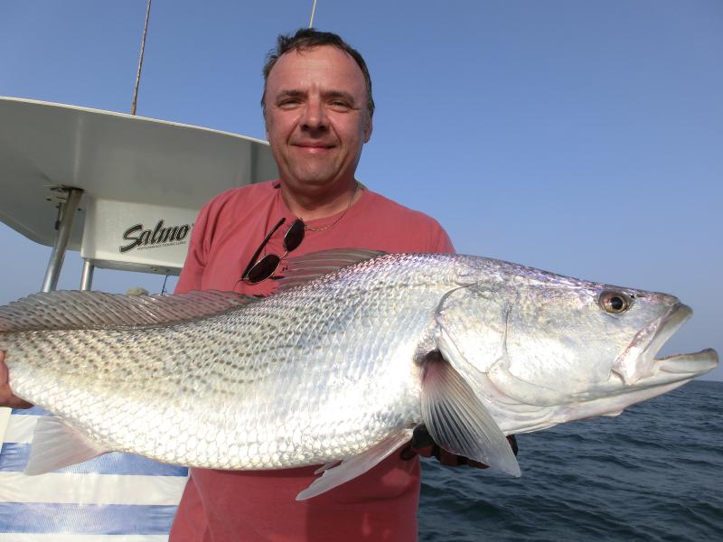 Longneck Croaker knapp unter WR
