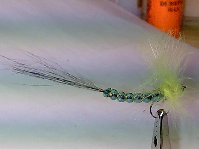 Mayfly CDC