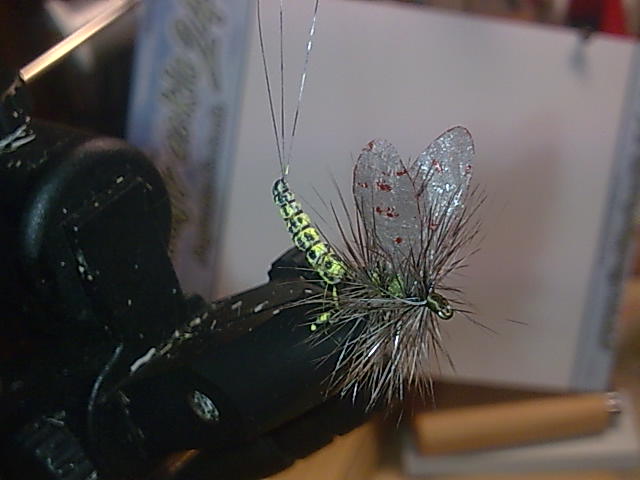 Mayfly