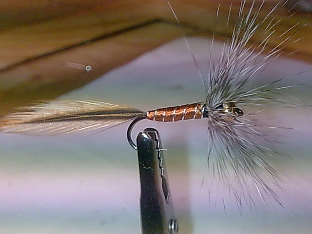 Medusa
Haken Hayabusa 376 #8