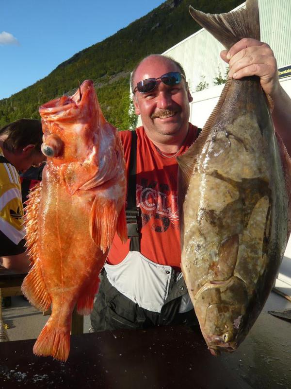 Mein erster Rotbarsch und mein erster Heilbutt