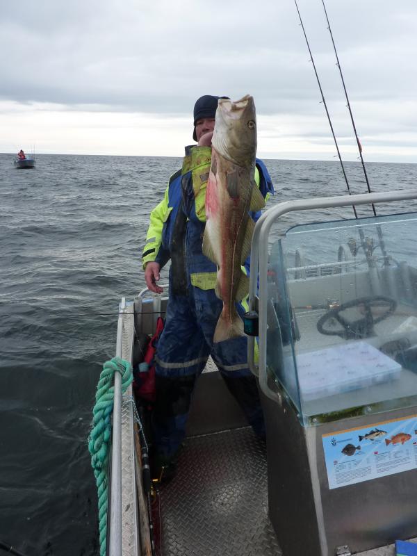 Mein Größter 2012. 8,5 Kg