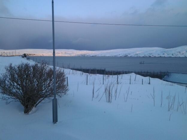 Morgenst.1