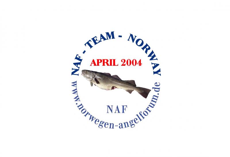 NAF Team 2004 Org