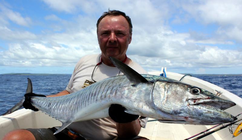 narrowbarred mackerel 1
