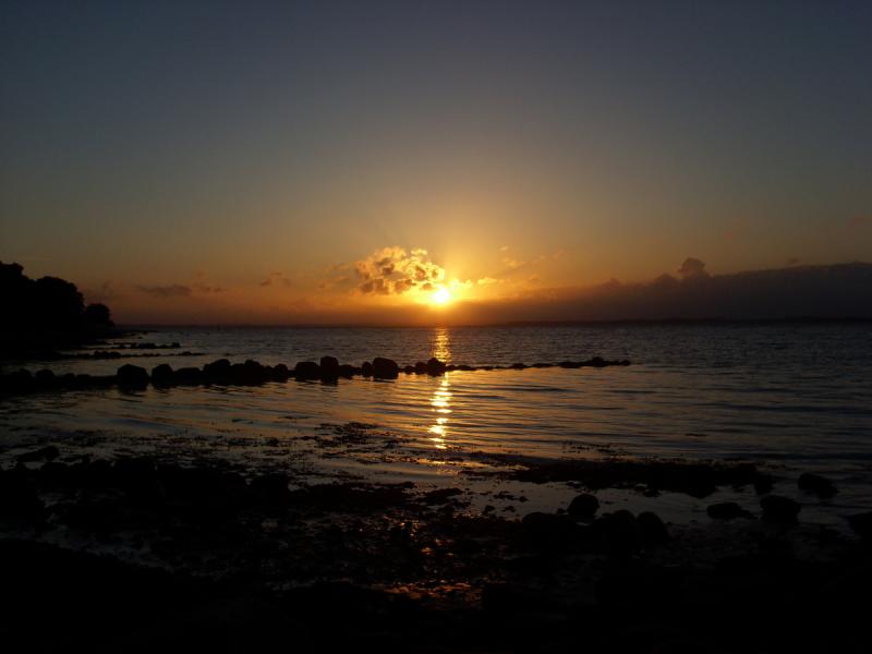 Nordsee sommer 08 080