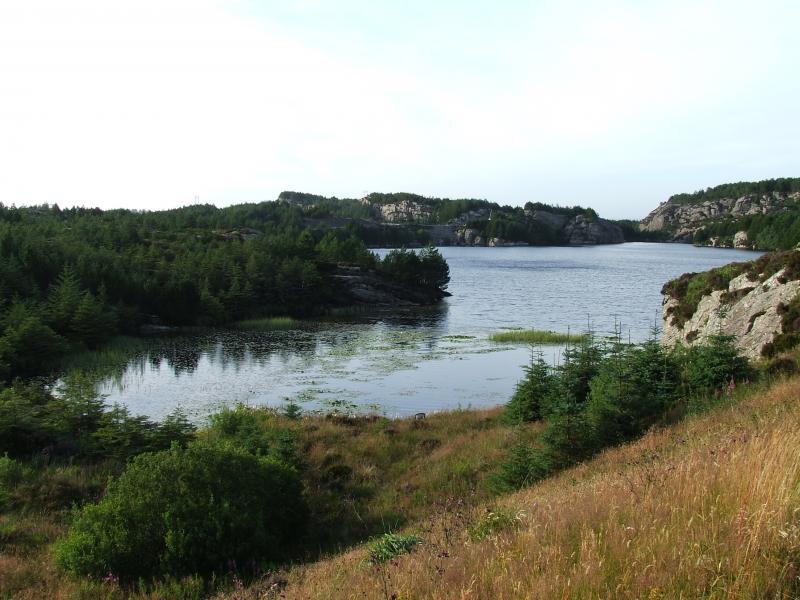 Norge 2008 073