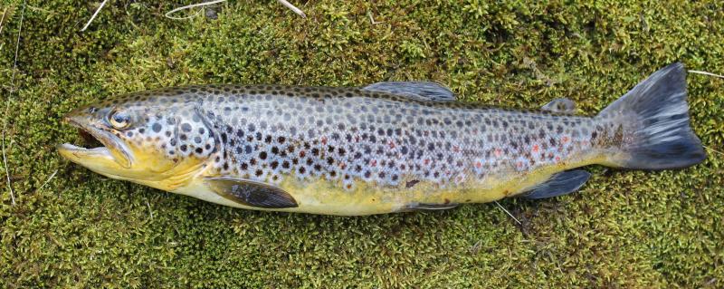 Norwegen 2012 EOS bearbeitet