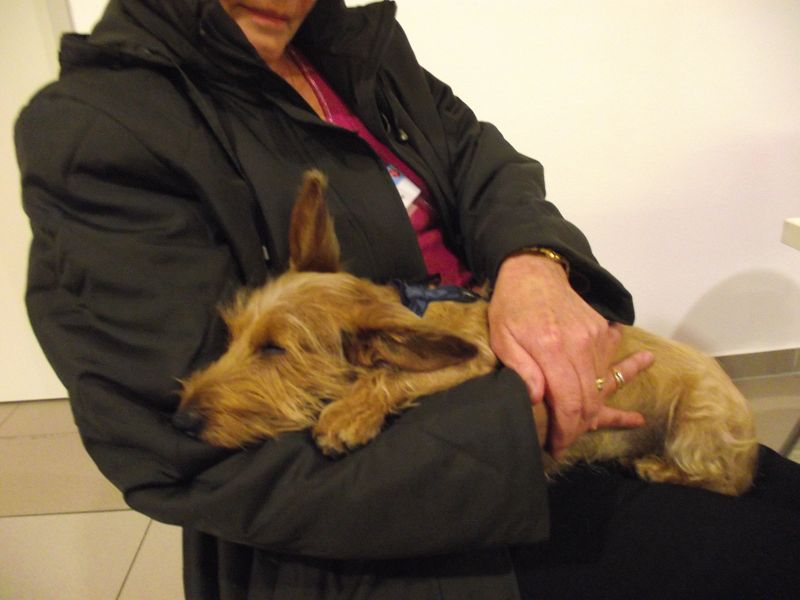 ODIN ist immer noch KO