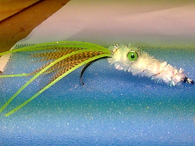 Oktubus 
Haken Mustad Salzwasserhaken in Größe 1/0