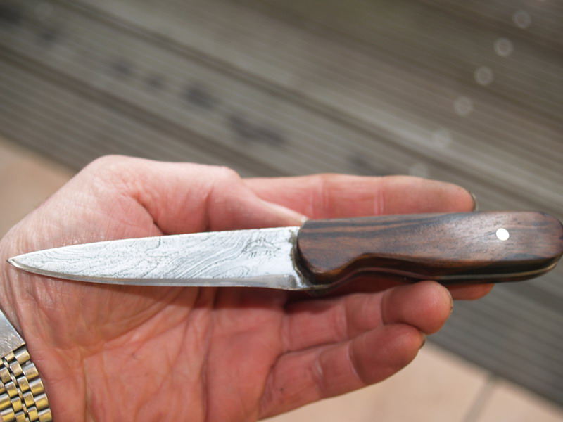 P1298409 Bildgröße ändern