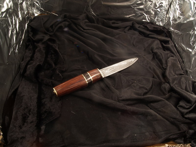 P4058846 Bildgröße ändern