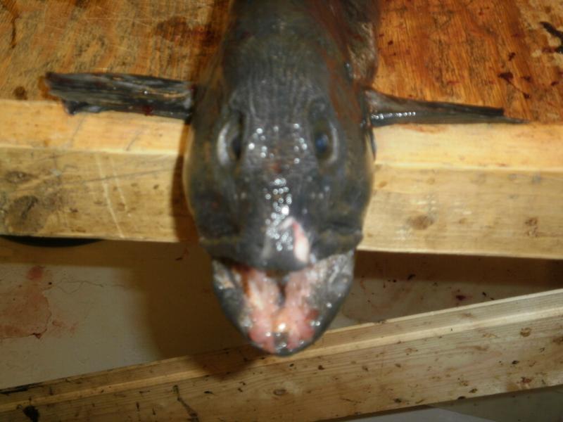 P5030105