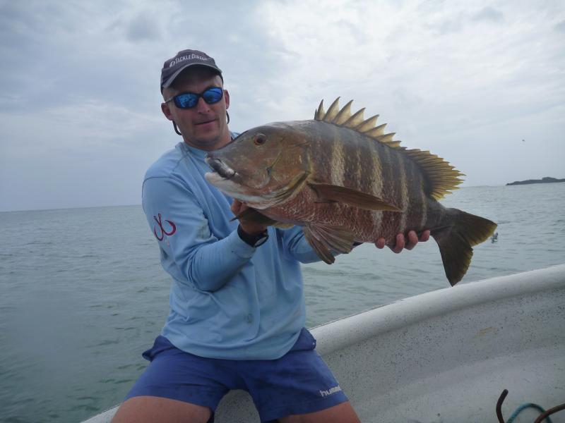 Pargo