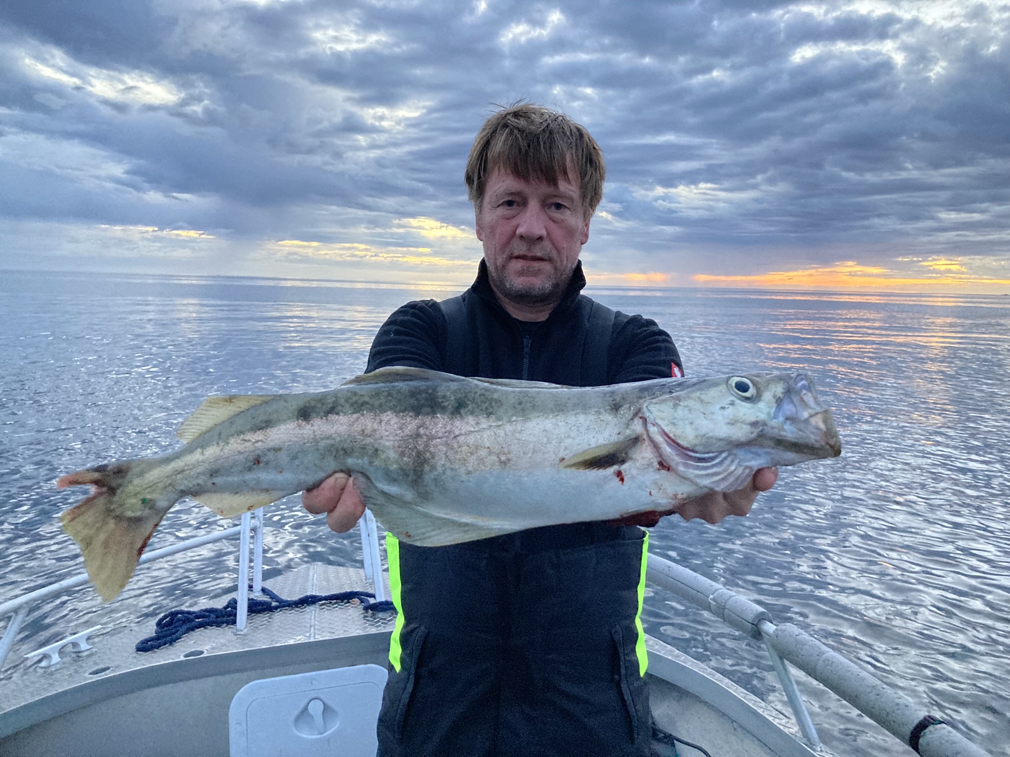 Pollack 0,76m