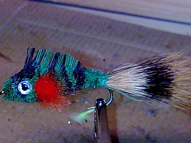 Rehhaarbarsch
Deerhair