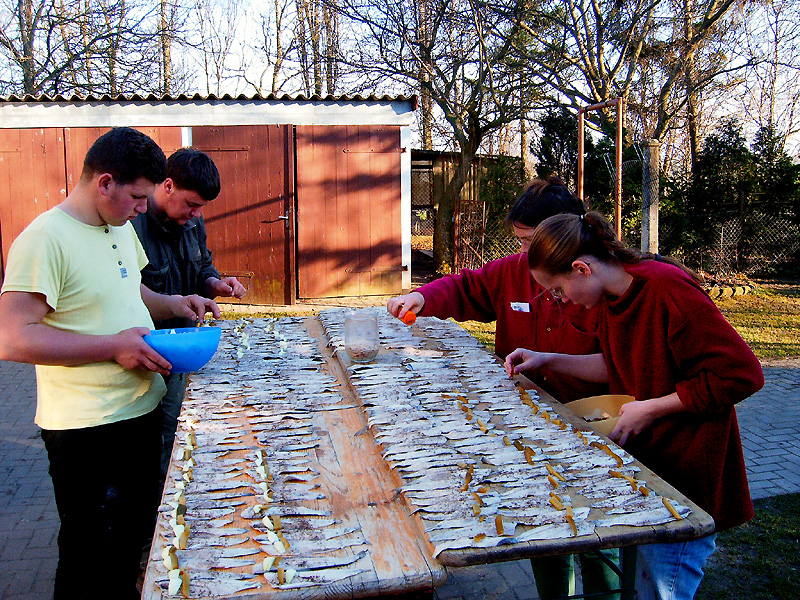 Rollmops1