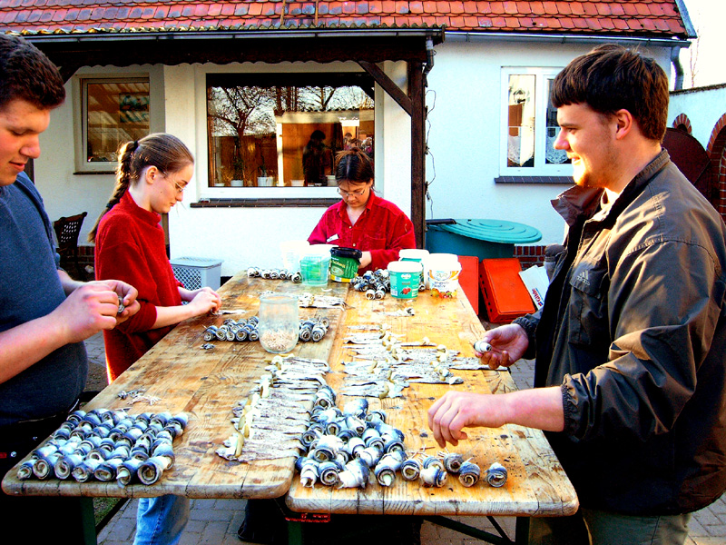 Rollmops2