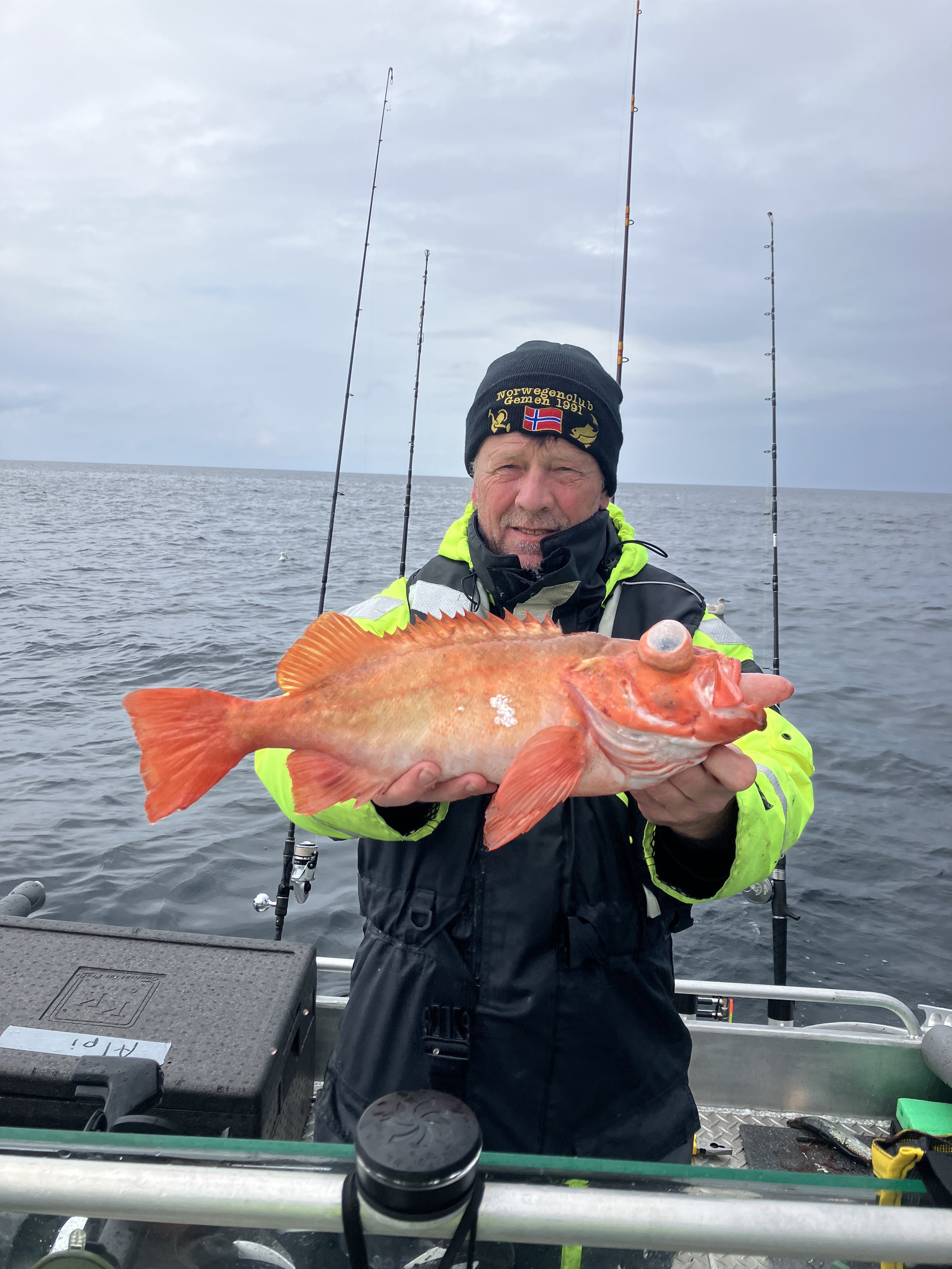 Rotbarsch 0,54m