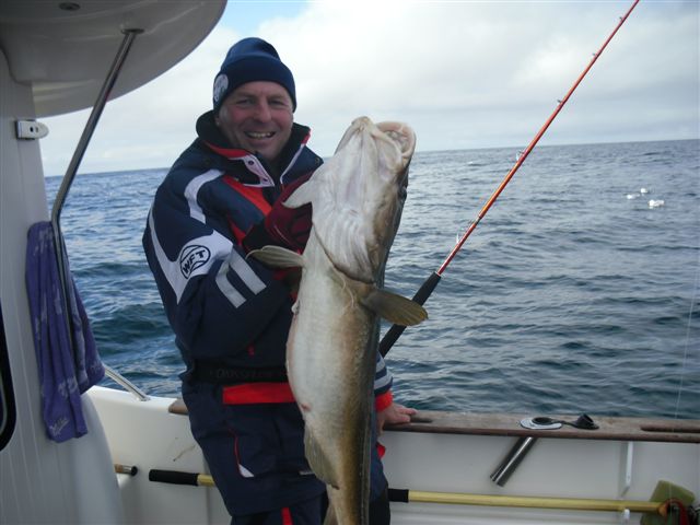 schöner Dorsch  gefangen in 60 Meter Tiefe