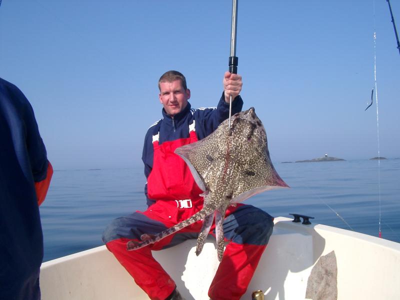 Schöner Rochen aus 30 Metern mit Fischfetzen.