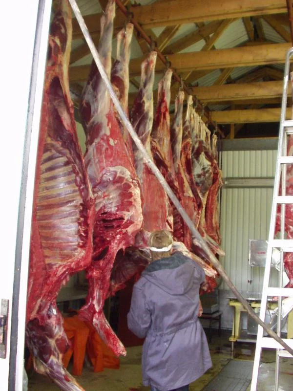 schweden mit marcel okt.02 058