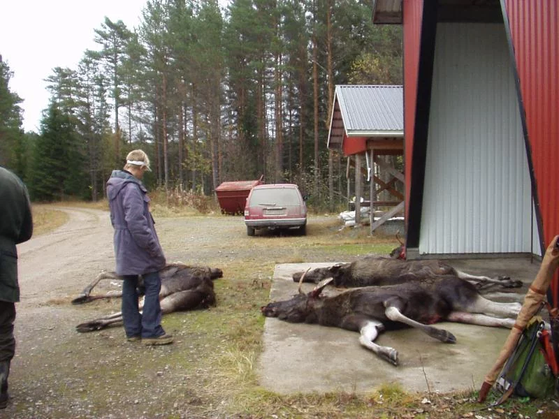 schweden mit marcel okt.02 065