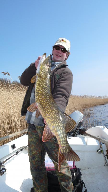 Schwedenhecht 110 cm