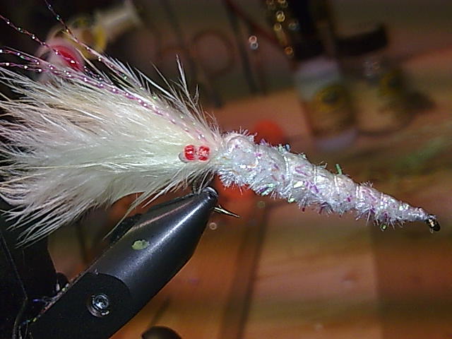 Shrimp