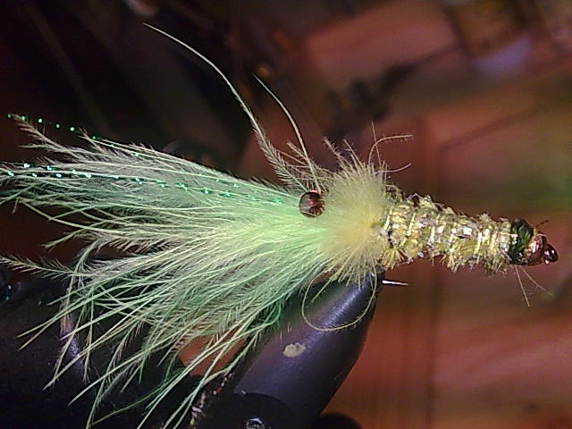 shrimp